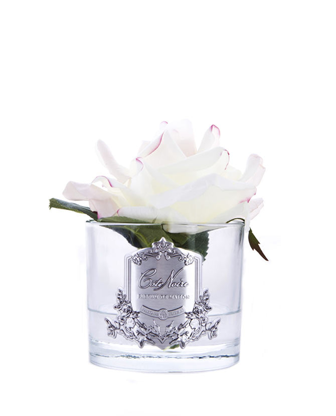 Prémium minőségű, krém színű, rózsa illatú parfümös nyílt virágú rózsafej díszdobozban