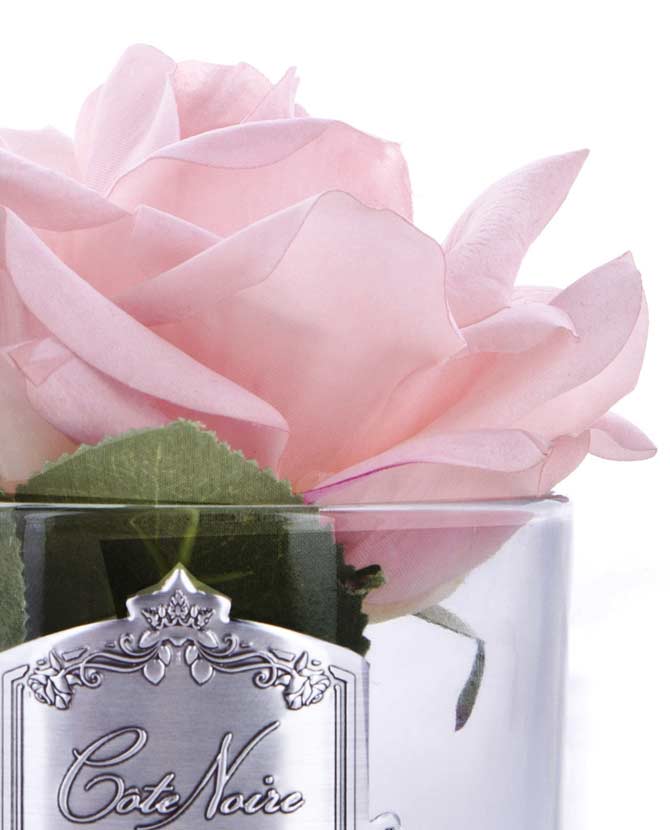 Prémium minőségű, rózsaszín színű, rózsa illatú parfümös nyílt virágú rózsafej díszdobozban