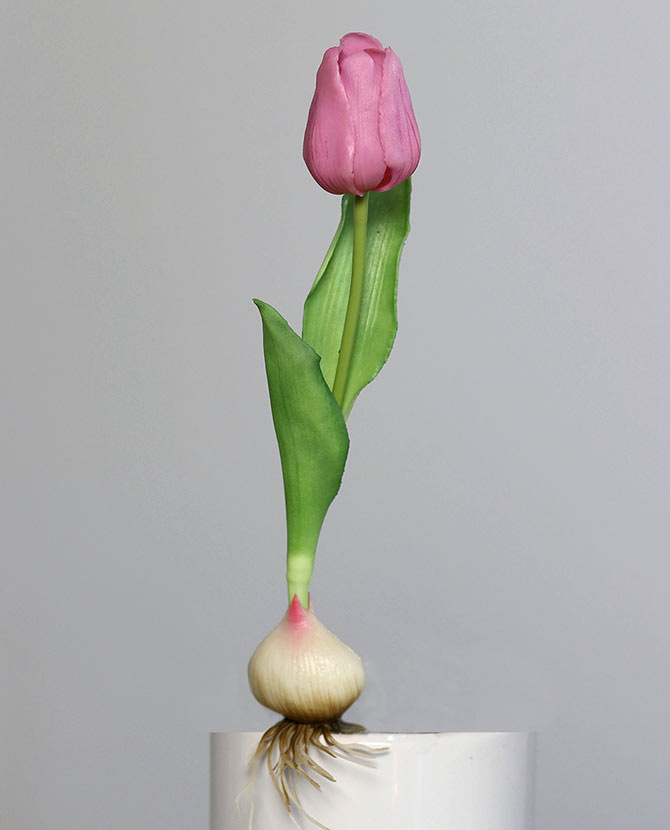 Rózsaszín színű hagymás mű tulipán
