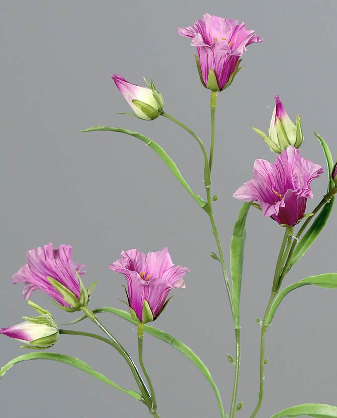 Prémium minőségű, 66 cm magas, élethű, lilásrózsaszín színű, mesterséges mű harangvirág
