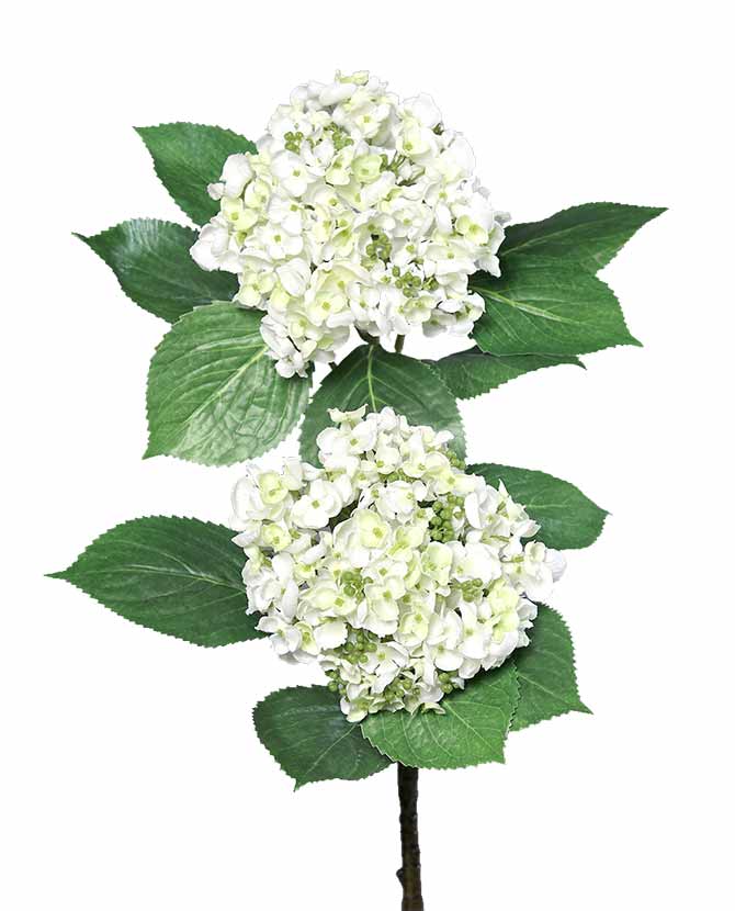Fehér színárnyalatú virágfejjel díszített mű hortenzia ág .