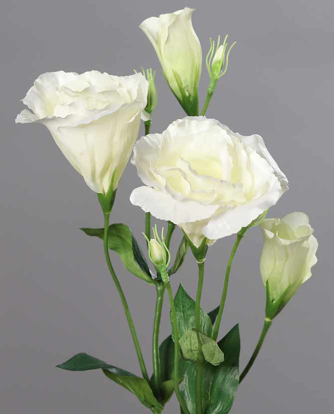 68 cm magas, fehér színárnyalatú mesterséges liziantusz művirág 