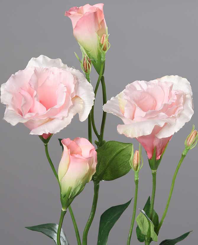 Prémium minőségű, élethű megjelenésű, 68 cm magas, rózsaszín színárnyalatú mesterséges liziantusz művirág