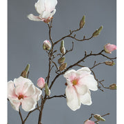 Élethű, halvány rózsaszín színű magnólia művirág, nyílt, bimbós és rügyező virágokkal.