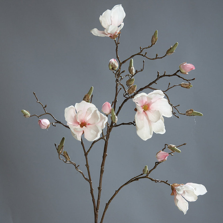 Élethű, halvány rózsaszín színű magnólia művirág, nyílt, bimbós és rügyező virágokkal.