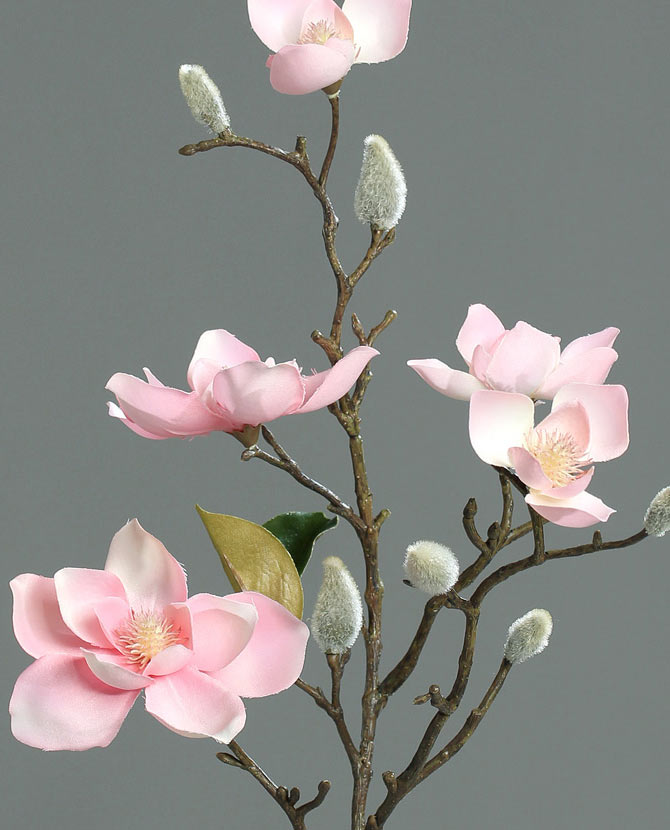 Élethű, rózsaszín színű, virágzó magnólia művirág nyílt és rügyező virágokkal.
