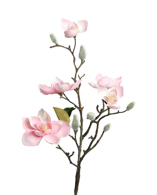 Élethű, rózsaszín színű, virágzó magnólia művirág nyílt és rügyező virágokkal.