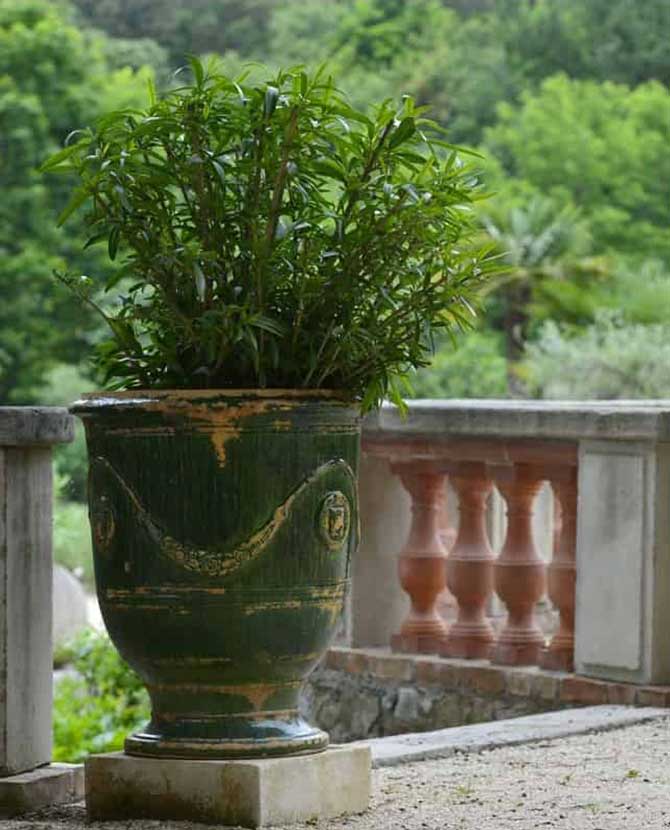 Prémium minőségű, patinás antikolt felületű, tradicionális zöld színű, kézműves Anduze kerámia kaspó