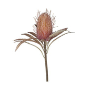 szárított hatású, 60 cm magas, fáradt korall színű szálas protea művirág
