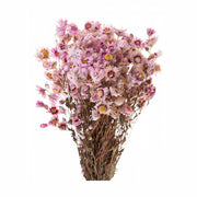 Szárított rhodante virágcsokor..