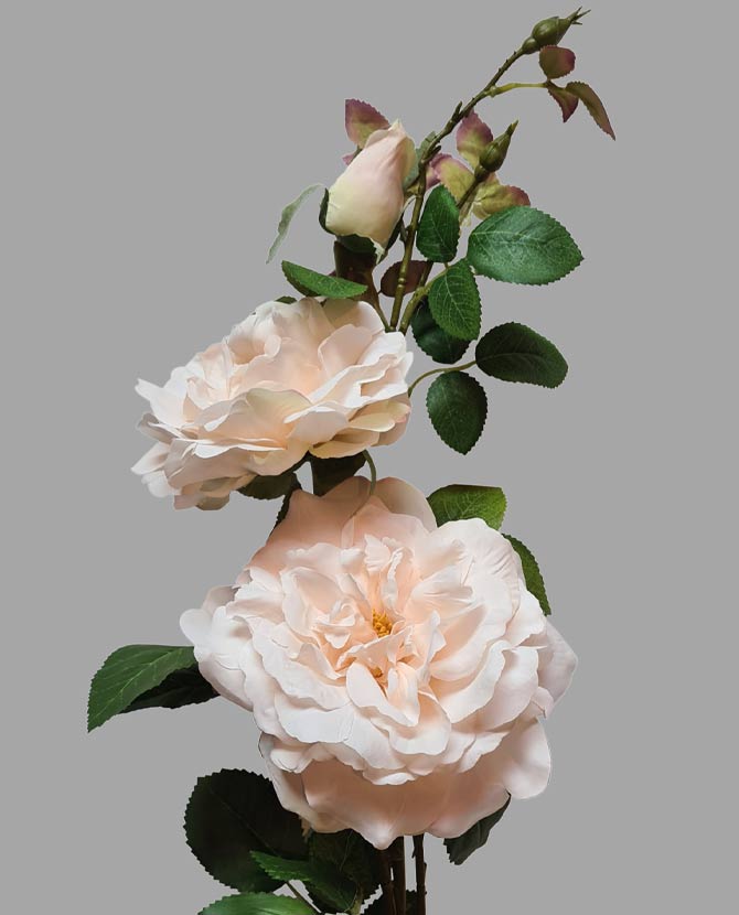 Rózsa művirág, krém színű nyílt és bimbos virágfejekkel.