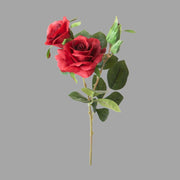 Rózsa művirág, bordó színárnyalatú nyílt és bimbós virágfejekkel.