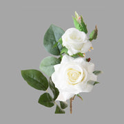 Rózsa művirág, fehér színárnyalatú nyílt és bimbós virágfejekkel.