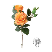 Rózsa művirág, narancssárga színárnyalatú nyílt és bimbós virágfejekkel.