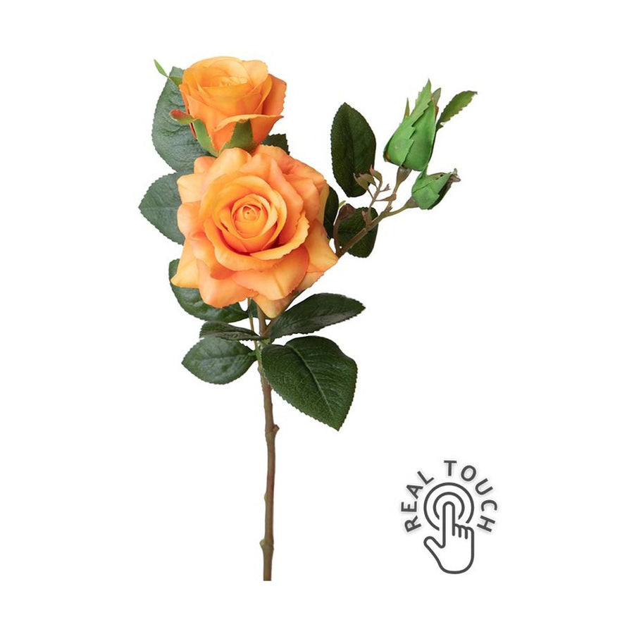 Rózsa művirág, narancssárga színárnyalatú nyílt és bimbós virágfejekkel.