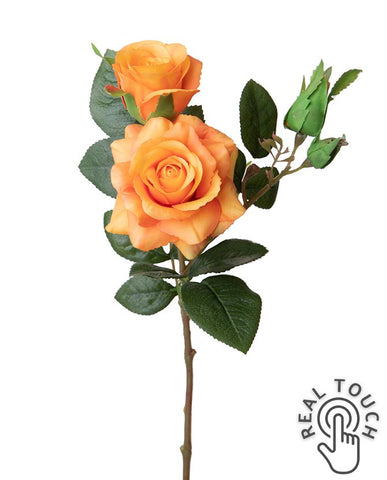 Rózsa művirág, narancssárga színárnyalatú nyílt és bimbós virágfejekkel.