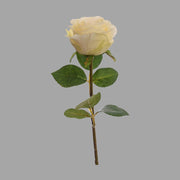 Krém színű mű rózsa, zöld levelekkel.