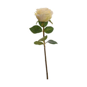 Krém színű mű rózsa, zöld levelekkel. 