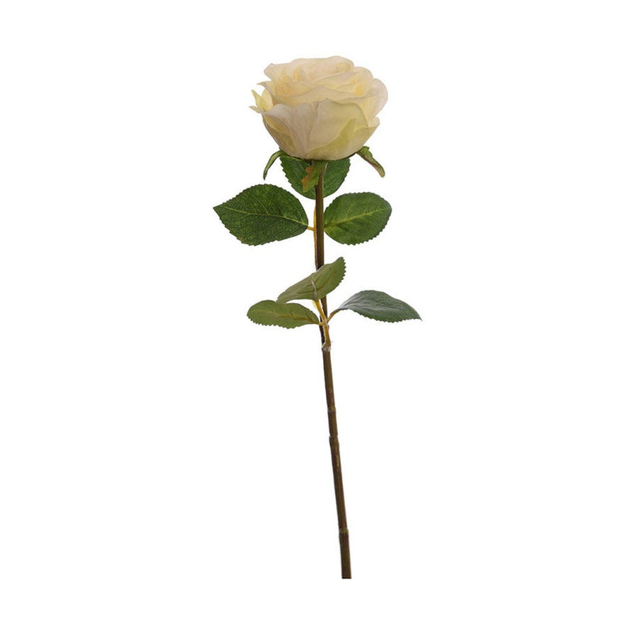 Krém színű mű rózsa, zöld levelekkel. 