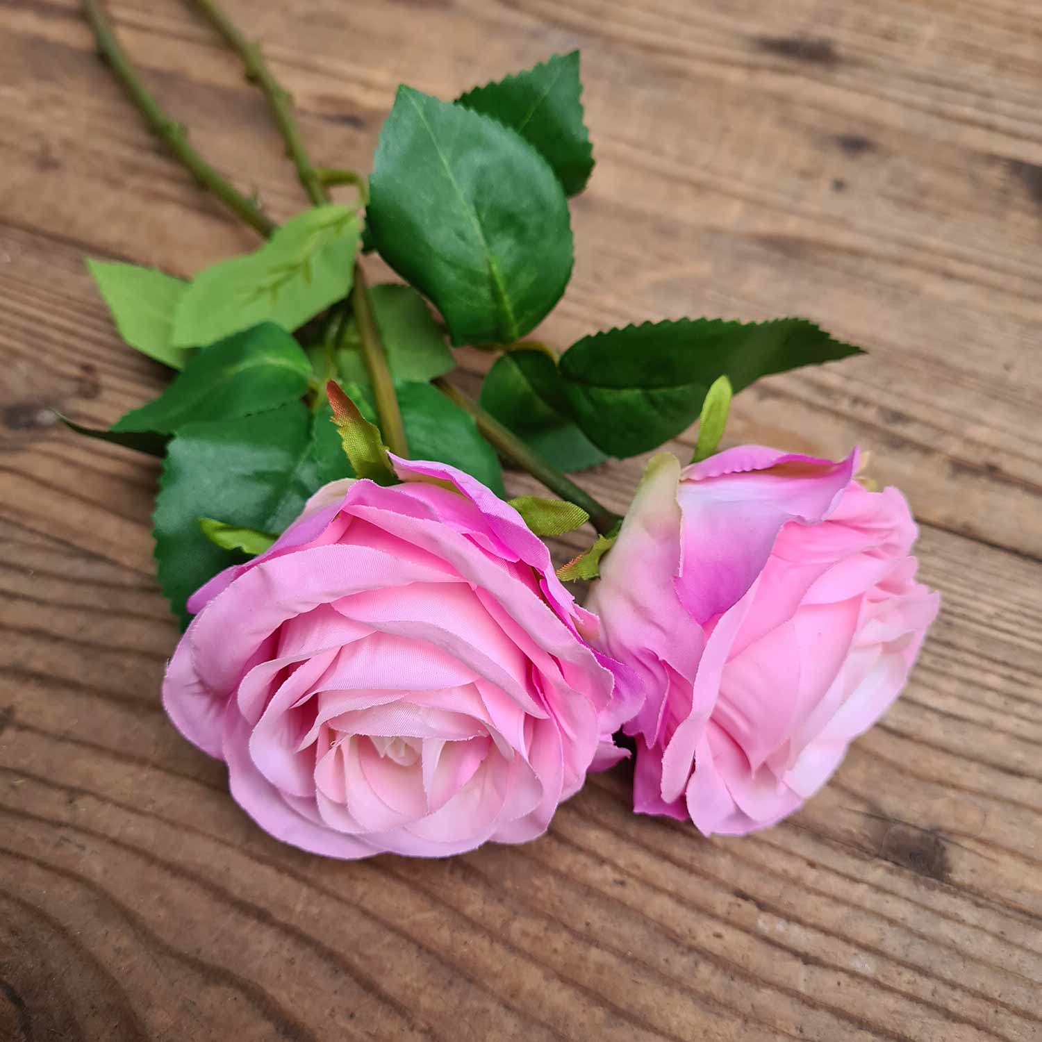 Ciklámen mű rózsák natúr színű fa asztalon. 