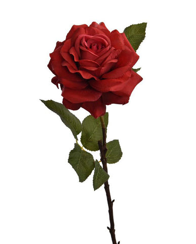 Rózsa művirág, nyílt vörös színű virágfejjel.