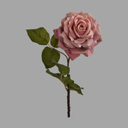 Rózsa művirág, nyílt mályva színű virágfejjel.