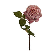 Rózsa művirág, nyílt mályva színű virágfejjel.