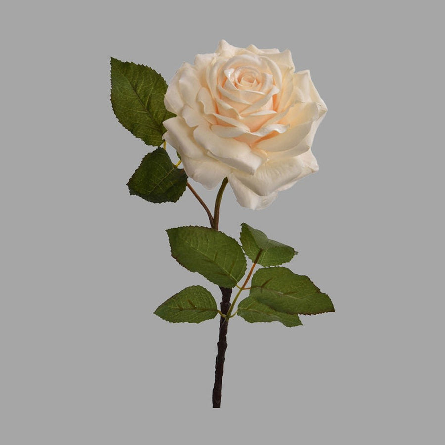 Rózsa művirág, nyílt vanília színű virágfejjel.