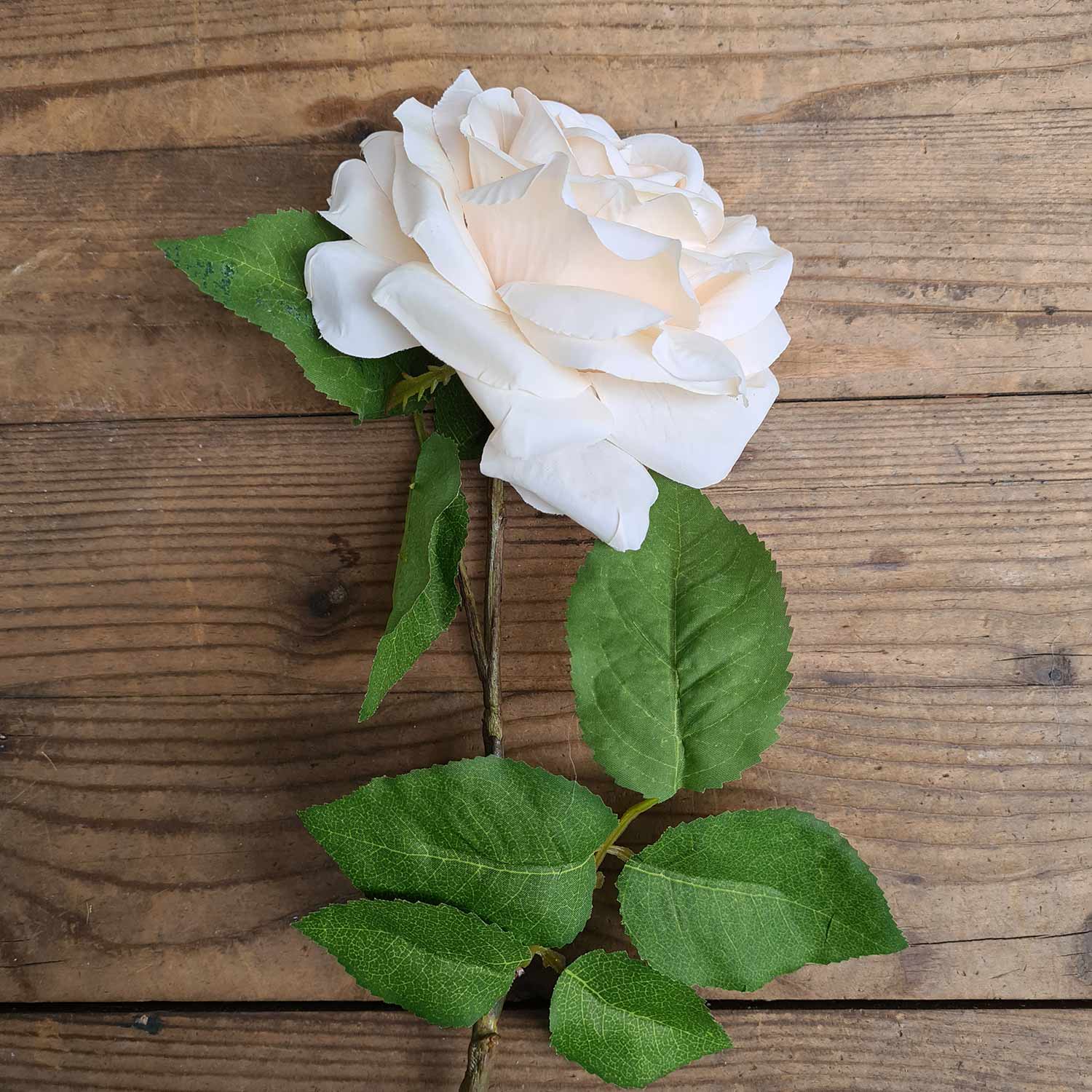 Rózsa művirág, nyílt vanília színű virágfejjel.
