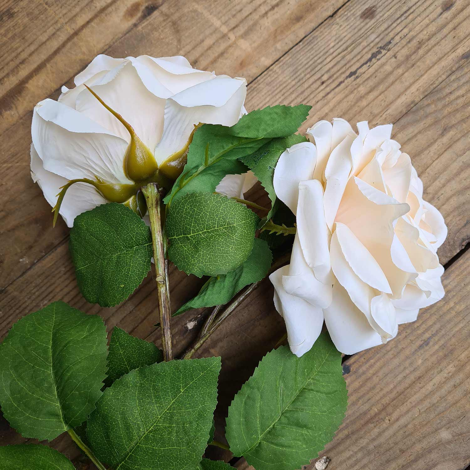 Rózsa művirág, nyílt vanília színű virágfejjel.