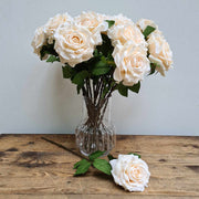 Rózsa művirág, nyílt vanília színű virágfejjel.