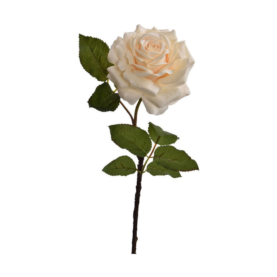 Rózsa művirág, nyílt vanília színű virágfejjel.