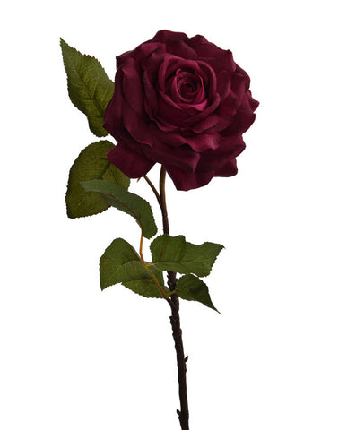 Rózsa művirág, nyílt viola színű virágfejjel.