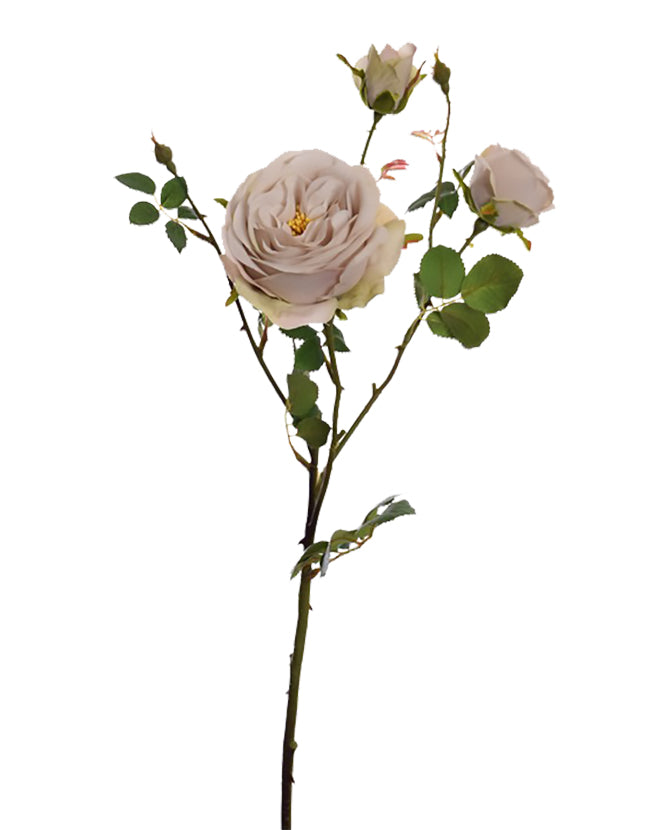 Vintage stílusú,, fáradt bézs színárnyalatú, mű rózsa ág, nyílt és bimbós virágfejekkel.