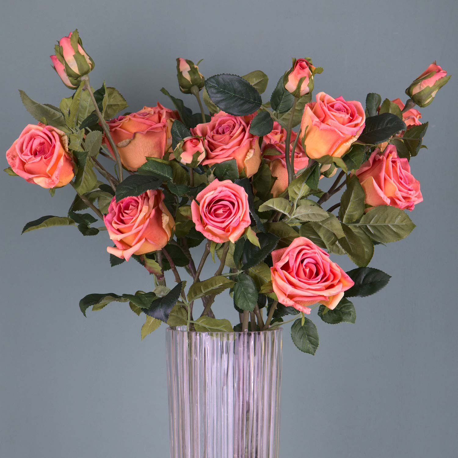 Rózsa művirág, narancsos pink színárnyalatú nyílt és bimbós virágfejekkel.