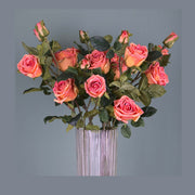 Rózsa művirág, narancsos pink színárnyalatú nyílt és bimbós virágfejekkel.