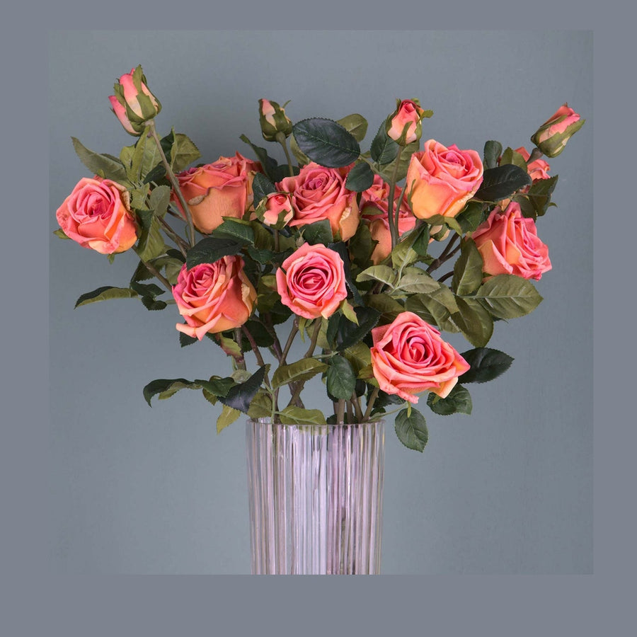 Rózsa művirág, narancsos pink színárnyalatú nyílt és bimbós virágfejekkel.