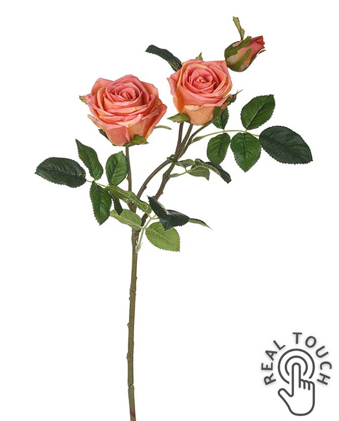 Rózsa művirág, narancsos pink színárnyalatú nyílt és bimbós  virágfejekkel.