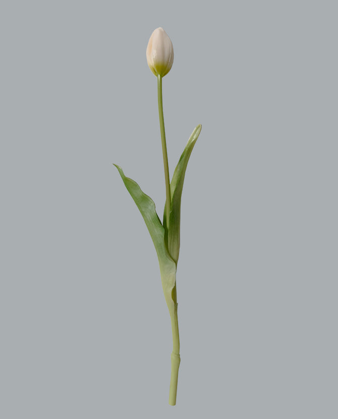 Élethű megjelenésű, fehér színű bimbós tulipán művirág
