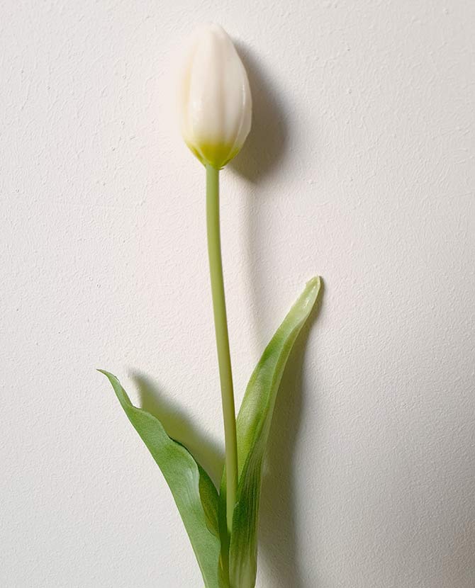 Élethű megjelenésű, fehér színű bimbós tulipán művirág