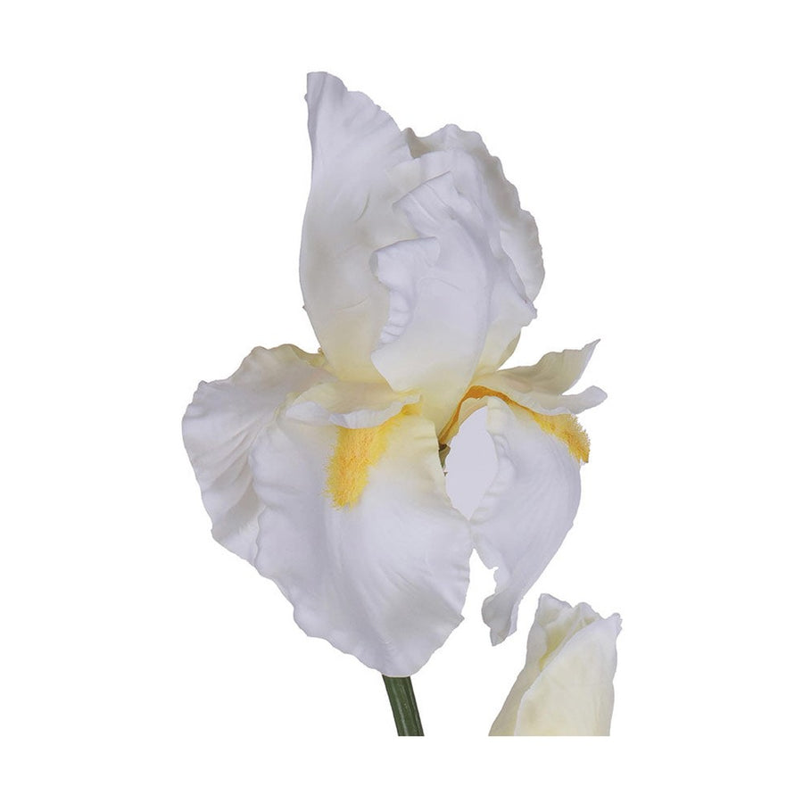 Élethű, krém színű szálas írisz művirág