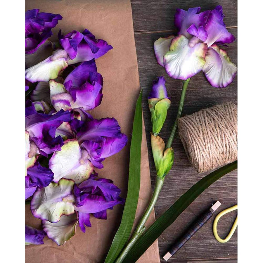 Élethű, krém színű szálas írisz művirág