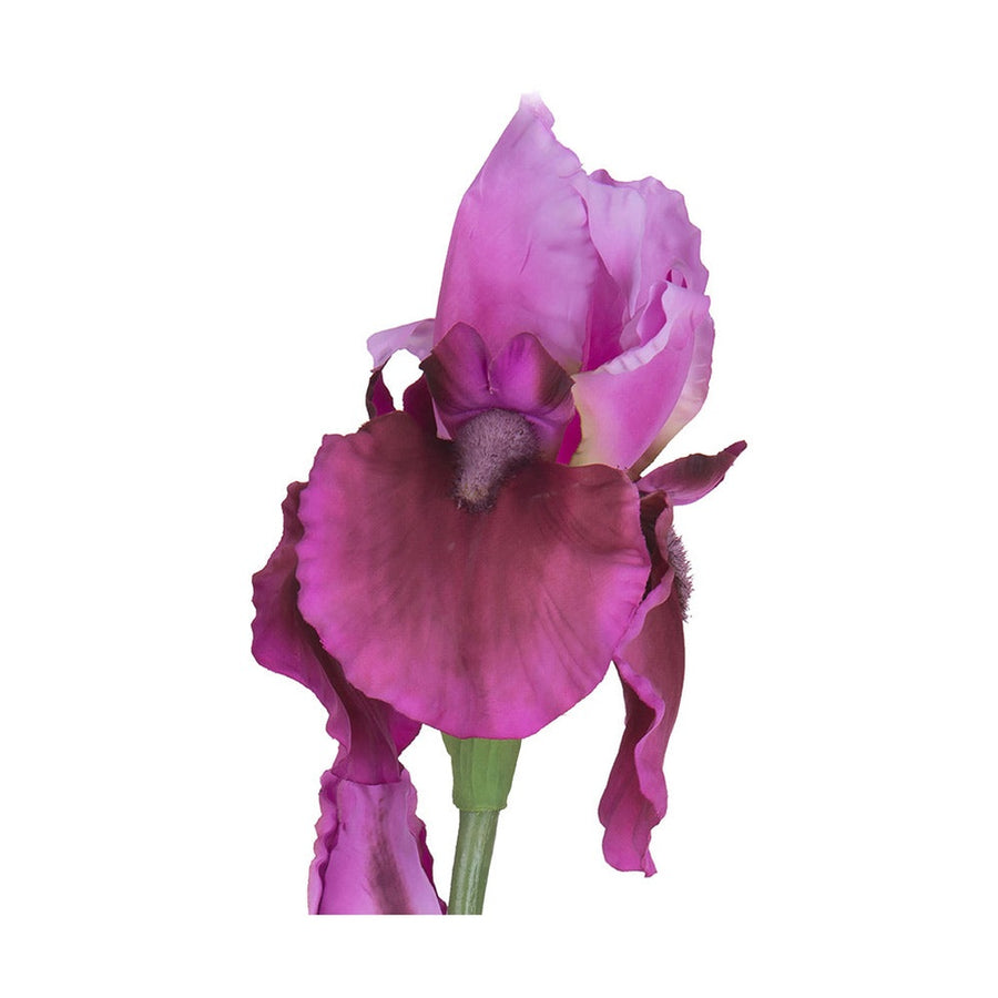 Élethű, lila színű szálas írisz művirág