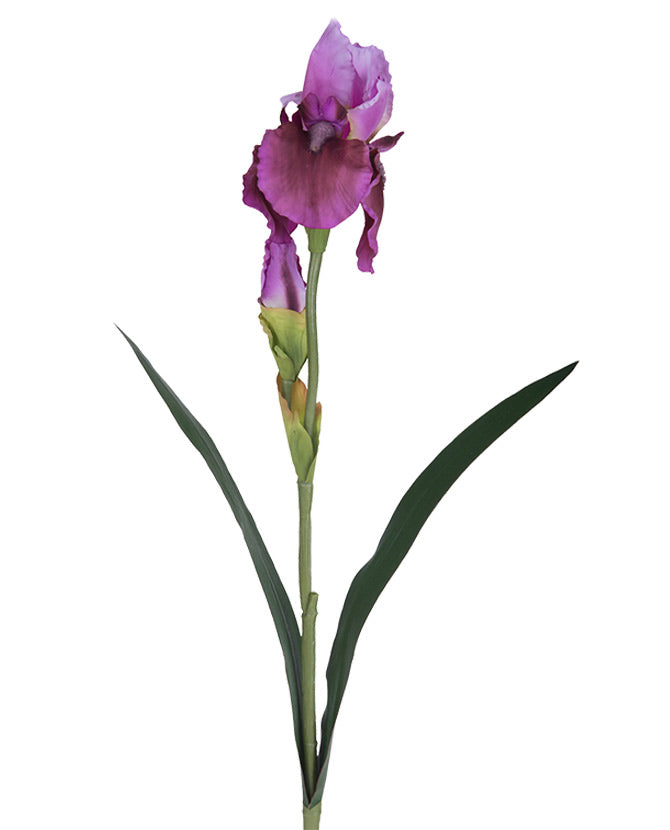 Élethű, lila színű szálas írisz művirág