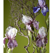 Élethű, mályva színű szálas írisz művirág