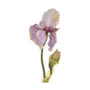 Élethű, mályva színű szálas írisz művirág