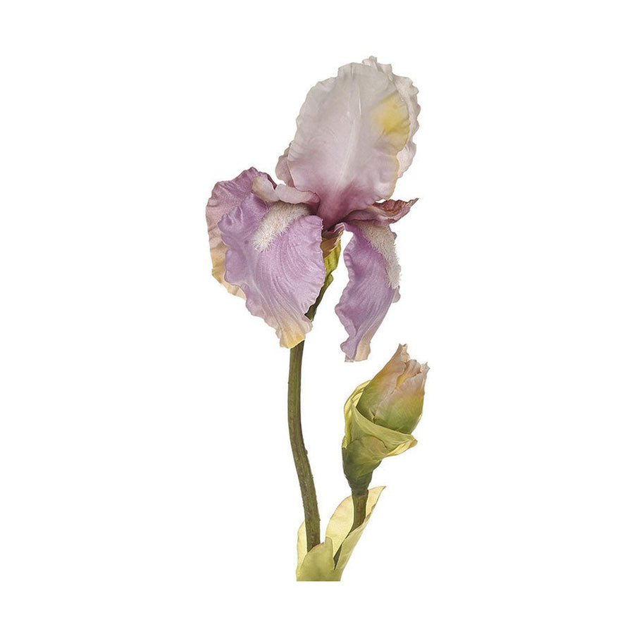 Élethű, mályva színű szálas írisz művirág