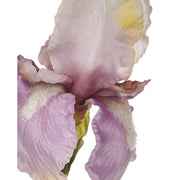 Élethű, mályva színű szálas írisz művirág