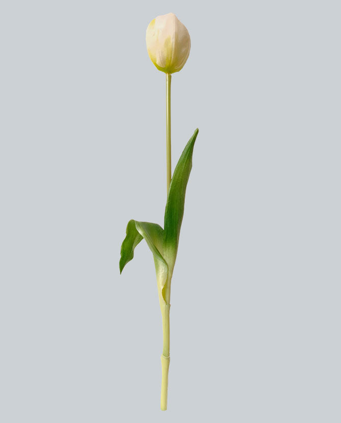 Élethű megjelenésű, fehér színű nyílt virágú tulipán művirág