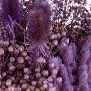 Natúr színű papírba csomagolt, 30 cm átmérőjű és 50 cm magas, vegyes kialakítású lila színű szárított gyógynövénycsokor